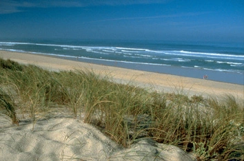 Photo dunes